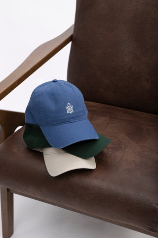 Everyday Dad Hat - turtleson