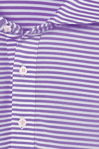 Hardy Stripe Polo - Clemson University - Baseball Script - turtleson