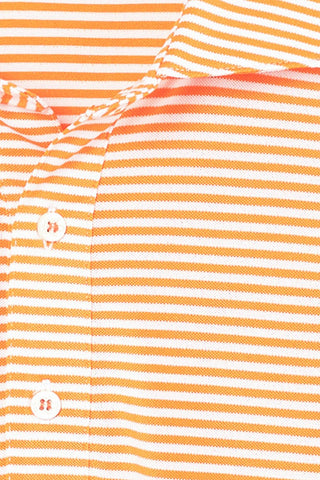 Hardy Stripe Polo - Clemson University - Palmetto - turtleson