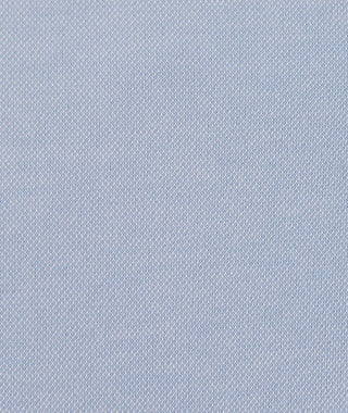 Lester Oxford Polo - turtleson
