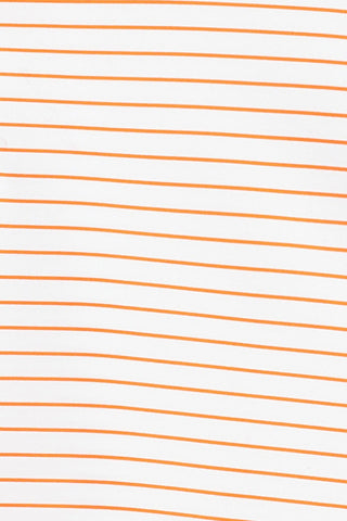 Lewis Stripe Polo - Clemson University - turtleson
