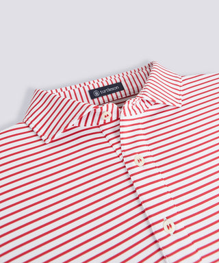 Mathew Stripe Performance Polo - turtleson