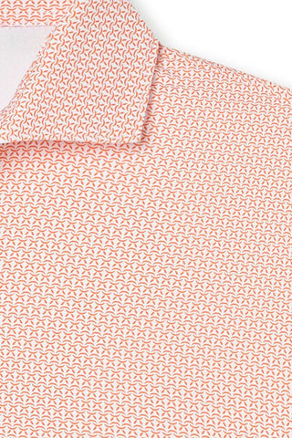 Ozzie Polo - Clemson University - Baseball Script - turtleson