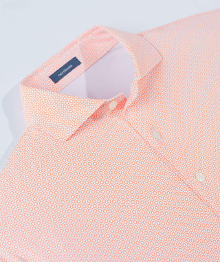 Raynor Performance Polo -Collar Clementine -  Turtleson