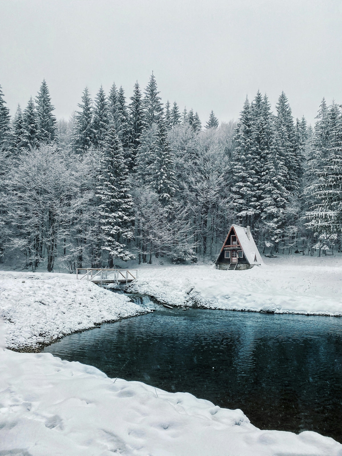 A lakeside cabin surrounded by snow-covered trees